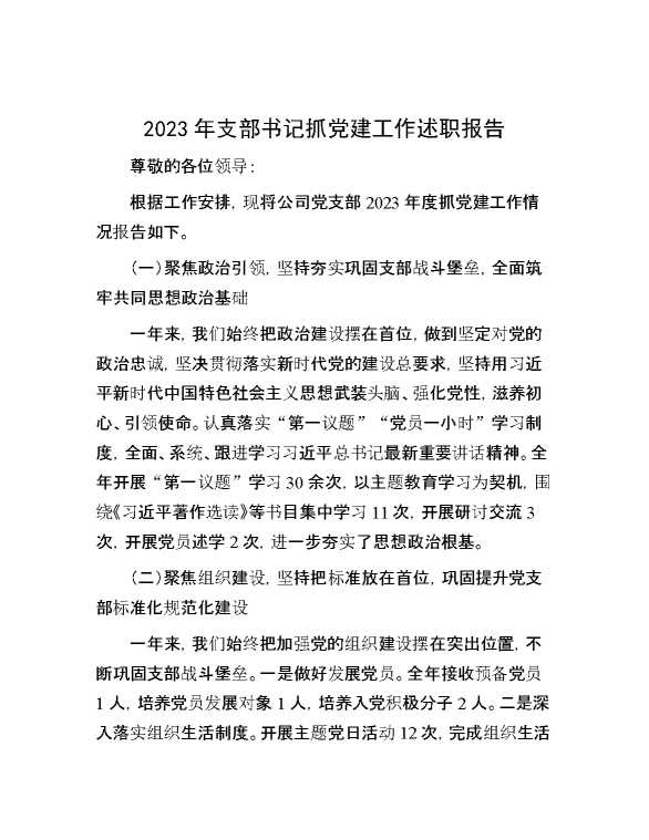 2023年支部书记抓党建工作述职报告