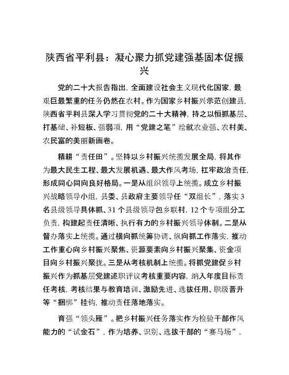 陕西省平利县：凝心聚力抓党建 强基固本促振兴