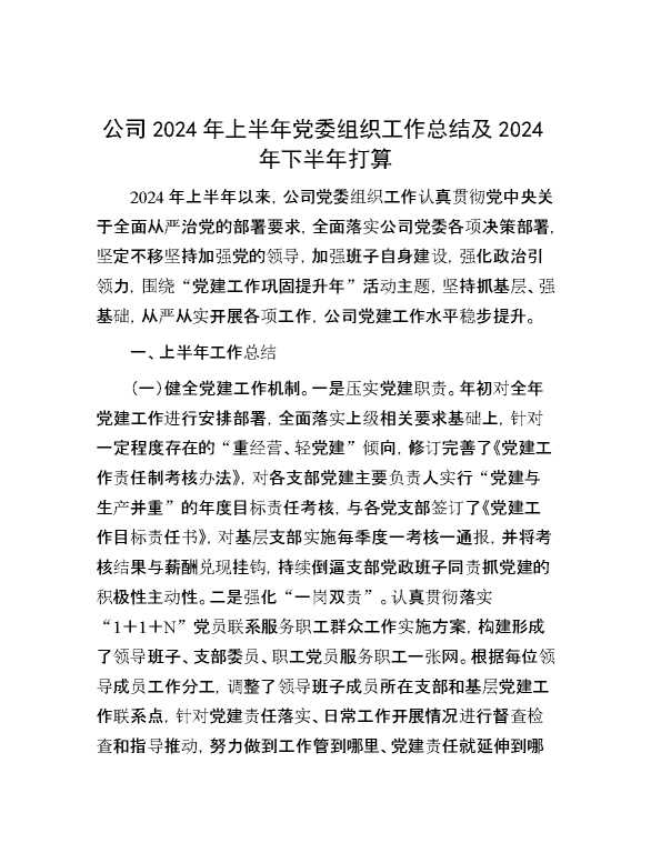 公司2024年上半年党委组织工作总结及2024年下半年打算