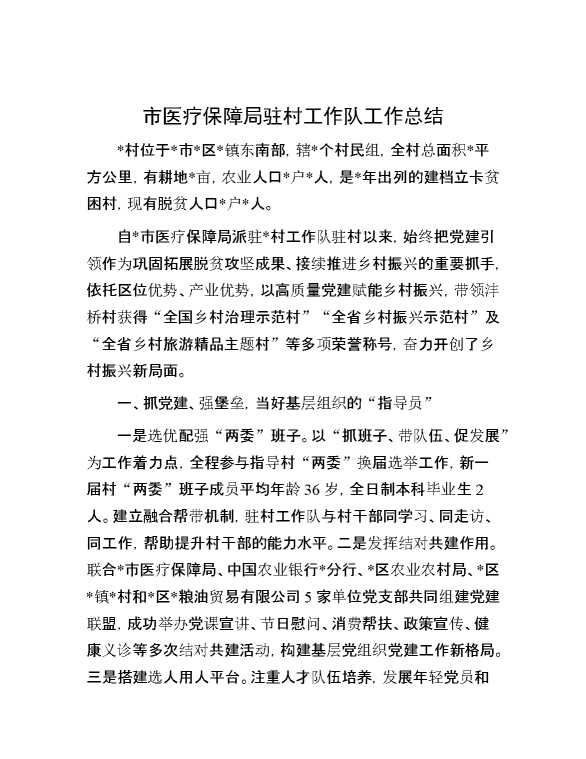 市医疗保障局驻村工作队工作总结