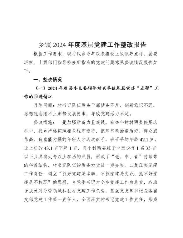 乡镇2024年度基层党建工作整改报告