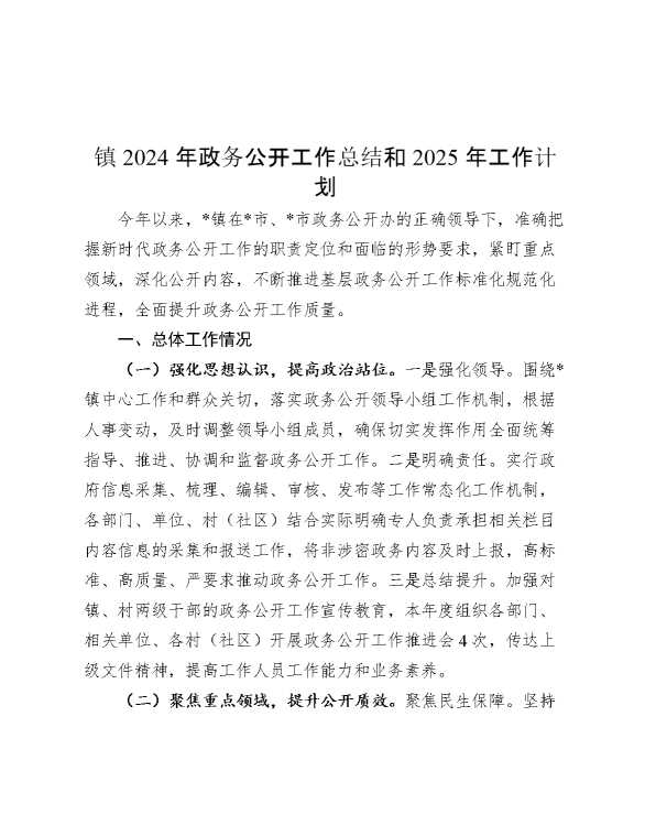 镇2024年政务公开工作总结和2025年工作计划