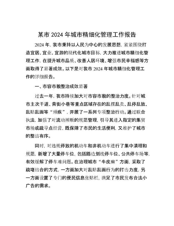 某市 2024 年城市精细化管理工作报告