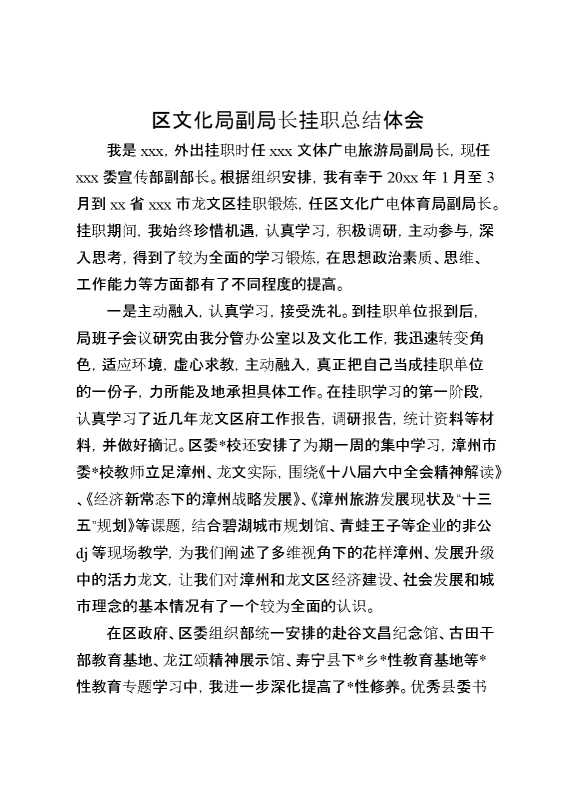区文化局副局长挂职总结体会