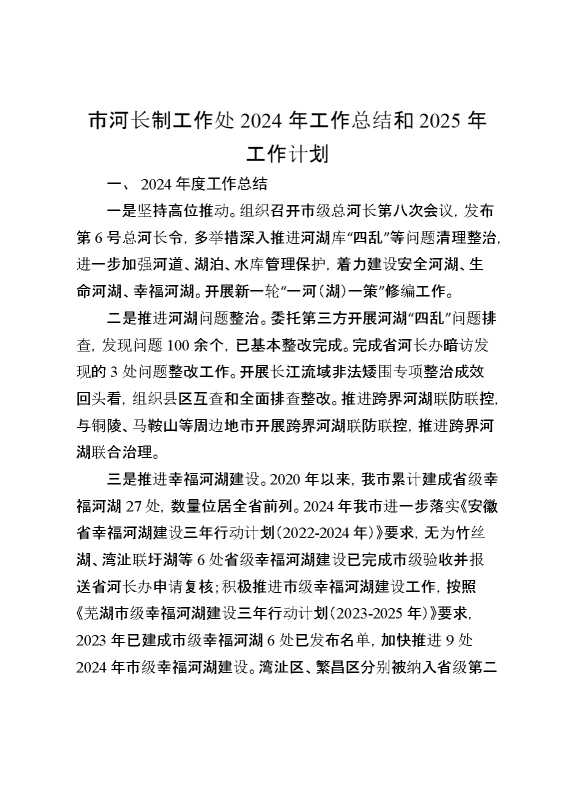 市河长制工作处2024年工作总结和2025年工作计划